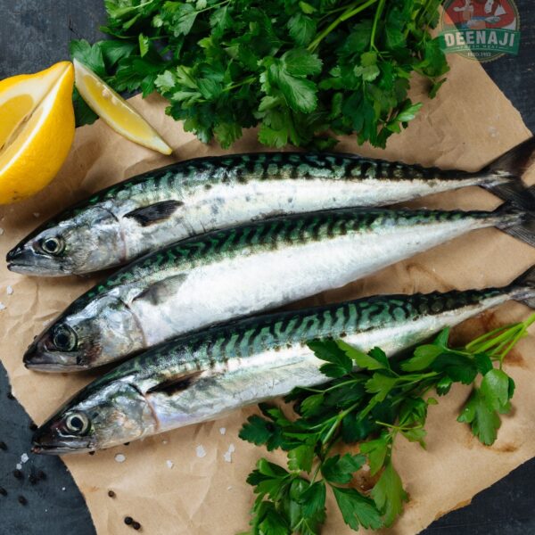 Deenaji Mackerel (1)