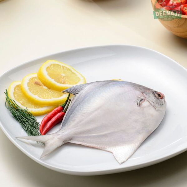 White Pomfret for Website image 1746 by 2000